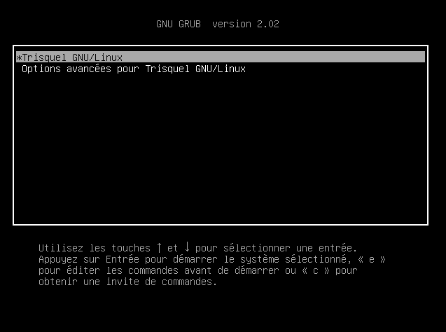 19_Installation_Graphique_Gnome_ Boot.png 